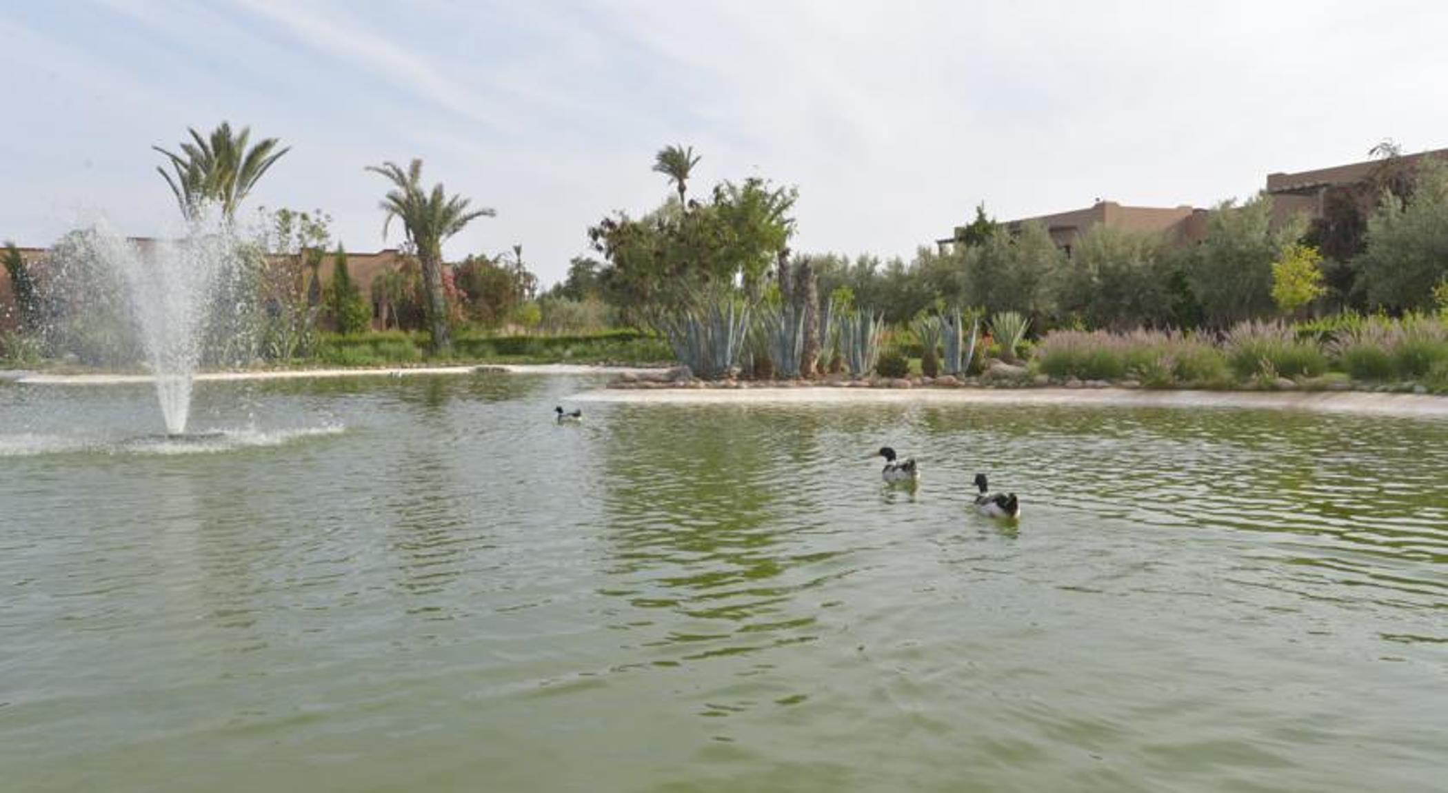 Valeria Dar Atlas All Inclusive Ouled Jelal Ngoại thất bức ảnh
